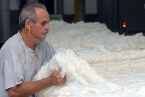 PESQUISA: Número de trabalhadores com mais de 50 anos no Brasil dobra entre 2006 e 2021