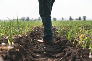 O Agronegócio no Brasil: Desafios e Oportunidades