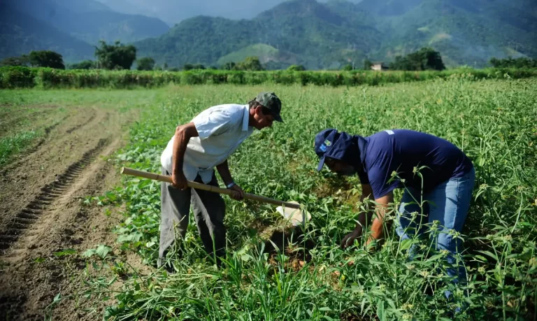 Banco da Amazônia amplia investimentos no Pronaf e mira R$ 2,5 bilhões para atender 100 mil famílias em 2025